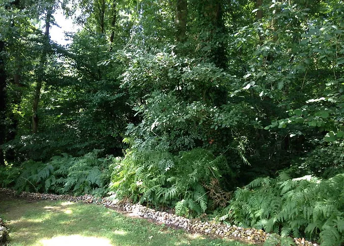 Roulotte Du Petit Bois