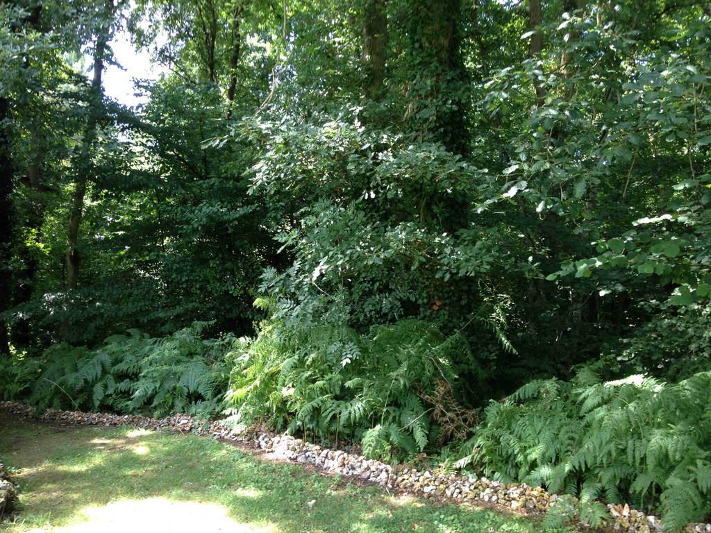 Holiday home Roulotte Du Petit Bois *